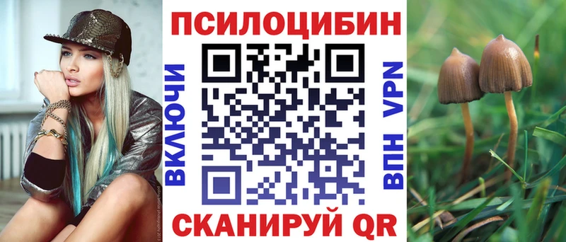 Галлюциногенные грибы Psilocybe Петушки